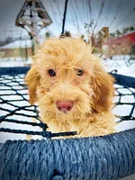 processed/31ba55cf-6a8d-4b23-9fe1-6187807cd371/listing/2fa31d34-e2f0-4687-acfe-112a03460b2e/52f1cc7b-38d2-42e1-8da5-56afc6db2393