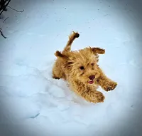 processed/31ba55cf-6a8d-4b23-9fe1-6187807cd371/listing/2fa31d34-e2f0-4687-acfe-112a03460b2e/71f233d7-4bcd-4aad-a627-47c9ff13a873