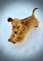 processed/31ba55cf-6a8d-4b23-9fe1-6187807cd371/listing/2fa31d34-e2f0-4687-acfe-112a03460b2e/77e588e5-092d-45a9-8f05-2b79d7e81872