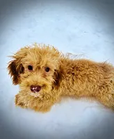 processed/31ba55cf-6a8d-4b23-9fe1-6187807cd371/listing/2fa31d34-e2f0-4687-acfe-112a03460b2e/887b6ad3-3be0-4f52-a4c2-aaf2eea89b7f