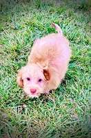 processed/31ba55cf-6a8d-4b23-9fe1-6187807cd371/listing/2fa31d34-e2f0-4687-acfe-112a03460b2e/88ace7af-8283-4bdf-8bb3-7a24ad75cfcb