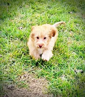 processed/31ba55cf-6a8d-4b23-9fe1-6187807cd371/listing/2fa31d34-e2f0-4687-acfe-112a03460b2e/996624b2-e617-4a08-b55a-8d486f5ae04e