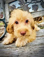 processed/31ba55cf-6a8d-4b23-9fe1-6187807cd371/listing/2fa31d34-e2f0-4687-acfe-112a03460b2e/ce95ff8e-5aba-49d3-85fa-c1af3844589f