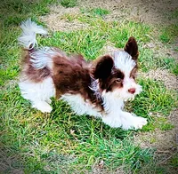 processed/31ba55cf-6a8d-4b23-9fe1-6187807cd371/listing/64d3dfa3-d20c-4de4-a690-7db7740535ad/10a00069-0505-4215-be14-689a7b6ba76d