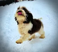 processed/31ba55cf-6a8d-4b23-9fe1-6187807cd371/listing/64d3dfa3-d20c-4de4-a690-7db7740535ad/29dc654e-f944-43c4-a64b-60292bc8ed49