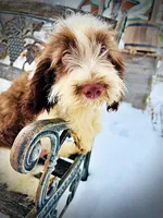 processed/31ba55cf-6a8d-4b23-9fe1-6187807cd371/listing/64d3dfa3-d20c-4de4-a690-7db7740535ad/46e6ec26-1f4a-4795-834e-7de3a40d2ee9