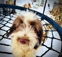 processed/31ba55cf-6a8d-4b23-9fe1-6187807cd371/listing/64d3dfa3-d20c-4de4-a690-7db7740535ad/475372d0-36c8-4996-978c-4f4124254aec