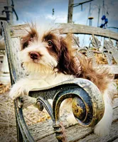 processed/31ba55cf-6a8d-4b23-9fe1-6187807cd371/listing/64d3dfa3-d20c-4de4-a690-7db7740535ad/b58eee8a-476b-4fc2-84d7-7ad77dc775be