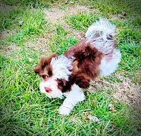 processed/31ba55cf-6a8d-4b23-9fe1-6187807cd371/listing/64d3dfa3-d20c-4de4-a690-7db7740535ad/c2cfeab4-959f-4872-97a7-59a83ec03d1f