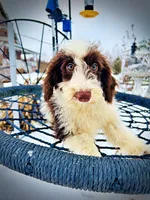 processed/31ba55cf-6a8d-4b23-9fe1-6187807cd371/listing/707be71a-6999-4965-8773-73f538e48828/11ea108d-2dec-407f-9583-527c7f0be57c