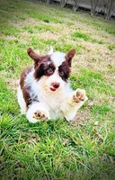 processed/31ba55cf-6a8d-4b23-9fe1-6187807cd371/listing/707be71a-6999-4965-8773-73f538e48828/136d8f84-5f6c-46fd-b8bb-9e73528e38f0