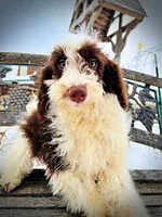 processed/31ba55cf-6a8d-4b23-9fe1-6187807cd371/listing/707be71a-6999-4965-8773-73f538e48828/1cf9737d-10a2-457f-9e19-e92a519013e4