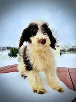 processed/31ba55cf-6a8d-4b23-9fe1-6187807cd371/listing/707be71a-6999-4965-8773-73f538e48828/370e94cd-4b1c-4992-8201-f2058023c833