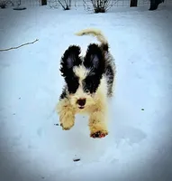 processed/31ba55cf-6a8d-4b23-9fe1-6187807cd371/listing/707be71a-6999-4965-8773-73f538e48828/40566c3a-ef9e-471b-9017-d31a98d70ca4