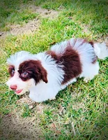 processed/31ba55cf-6a8d-4b23-9fe1-6187807cd371/listing/707be71a-6999-4965-8773-73f538e48828/80ceb587-ece4-4a60-9cf4-bc01a5e3c3c6