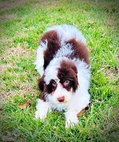 processed/31ba55cf-6a8d-4b23-9fe1-6187807cd371/listing/707be71a-6999-4965-8773-73f538e48828/9db4246d-b609-47ec-8cda-98feab6167f1