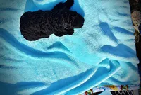 Louie, a male Havanese and Poodle - Toy  for sale in Marshfield, MO – Photo 8 of 8