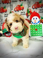 processed/31ba55cf-6a8d-4b23-9fe1-6187807cd371/listing/74d7612d-c0eb-42e1-b255-27181ebdb710/3a0cf445-6c3e-4438-8326-ae66d5cdd57a