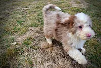 processed/31ba55cf-6a8d-4b23-9fe1-6187807cd371/listing/74d7612d-c0eb-42e1-b255-27181ebdb710/4d0bb15a-9207-4eb0-aa8b-017648317342