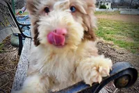 processed/31ba55cf-6a8d-4b23-9fe1-6187807cd371/listing/74d7612d-c0eb-42e1-b255-27181ebdb710/66ab1d47-4f94-4642-aec4-5c1dd82ec3f0