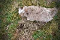 processed/31ba55cf-6a8d-4b23-9fe1-6187807cd371/listing/74d7612d-c0eb-42e1-b255-27181ebdb710/6ed303d9-8322-417d-9d15-f61dd89e1b77