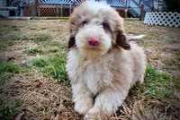 processed/31ba55cf-6a8d-4b23-9fe1-6187807cd371/listing/74d7612d-c0eb-42e1-b255-27181ebdb710/7883a485-eaf8-43c8-b085-11ddb94d1d43