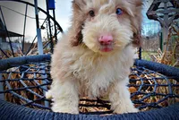 processed/31ba55cf-6a8d-4b23-9fe1-6187807cd371/listing/74d7612d-c0eb-42e1-b255-27181ebdb710/a2762050-a8ef-473e-8cfe-015eb7035ded