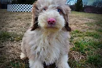 processed/31ba55cf-6a8d-4b23-9fe1-6187807cd371/listing/74d7612d-c0eb-42e1-b255-27181ebdb710/de7889ee-d2cf-44b1-bcd2-0f9de88b9d98