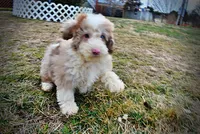 processed/31ba55cf-6a8d-4b23-9fe1-6187807cd371/listing/74d7612d-c0eb-42e1-b255-27181ebdb710/f6946b2e-3094-4f55-b3bf-856dcadc2e47