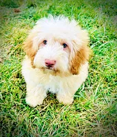 processed/31ba55cf-6a8d-4b23-9fe1-6187807cd371/listing/816ebc17-3c3d-458d-8be9-e8ef5ce23b01/44e79674-37bb-4617-a8ca-b5f94a6363a8