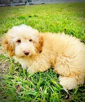 processed/31ba55cf-6a8d-4b23-9fe1-6187807cd371/listing/816ebc17-3c3d-458d-8be9-e8ef5ce23b01/564f94a2-9bbb-4b6e-ac17-4b3c1baf1cf7