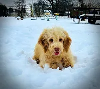 processed/31ba55cf-6a8d-4b23-9fe1-6187807cd371/listing/816ebc17-3c3d-458d-8be9-e8ef5ce23b01/7f8f0be5-0a19-499d-96f8-1567ba542253