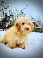 processed/31ba55cf-6a8d-4b23-9fe1-6187807cd371/listing/816ebc17-3c3d-458d-8be9-e8ef5ce23b01/d036dbe0-179a-41bb-94fd-738c183bd023