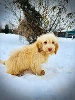 processed/31ba55cf-6a8d-4b23-9fe1-6187807cd371/listing/816ebc17-3c3d-458d-8be9-e8ef5ce23b01/f25d08d6-935d-4cfe-b332-317001ff71aa