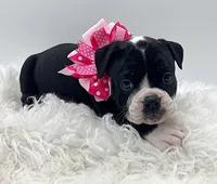 processed/31d45865-4805-4b65-971d-172c887a5699/listing/0a2d8d16-c527-4a4b-9efa-c5dc7e712156/17abd6b5-4eb2-4818-a725-a28db89dfde8