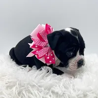 processed/31d45865-4805-4b65-971d-172c887a5699/listing/0a2d8d16-c527-4a4b-9efa-c5dc7e712156/61ff0b9f-a857-4ddd-a676-80b6d5555f87