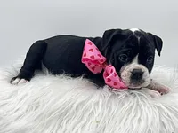 processed/31d45865-4805-4b65-971d-172c887a5699/listing/0a2d8d16-c527-4a4b-9efa-c5dc7e712156/e2e0a604-b0cf-40d2-9f20-827e5fd749b5