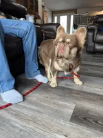 processed/31d45865-4805-4b65-971d-172c887a5699/listing/6937e98a-60d4-4b8f-a7e7-3a98bd5e10d4/2873a150-3b4b-4bda-a5a1-46517443c695