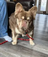 processed/31d45865-4805-4b65-971d-172c887a5699/listing/6937e98a-60d4-4b8f-a7e7-3a98bd5e10d4/2dfd5f54-fb11-4e89-b870-63ba2638b6a2