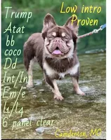 processed/31d45865-4805-4b65-971d-172c887a5699/listing/6937e98a-60d4-4b8f-a7e7-3a98bd5e10d4/36bd02b4-b272-494e-b305-40fcb8848296