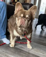 processed/31d45865-4805-4b65-971d-172c887a5699/listing/6937e98a-60d4-4b8f-a7e7-3a98bd5e10d4/456af4fd-07df-4db5-bbd7-7fd23f187abe