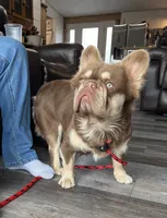 processed/31d45865-4805-4b65-971d-172c887a5699/listing/6937e98a-60d4-4b8f-a7e7-3a98bd5e10d4/6aa38c80-6e90-435c-b36c-835acfc6a68e