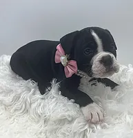 processed/31d45865-4805-4b65-971d-172c887a5699/listing/694777cb-3765-4122-9e56-23f6daef4704/b23bfca4-b5f1-4217-a9a5-7f74faf0c88c