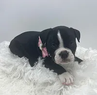 processed/31d45865-4805-4b65-971d-172c887a5699/listing/694777cb-3765-4122-9e56-23f6daef4704/ee19f2aa-9257-40e6-8eb6-5618d1cd04a2