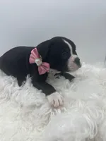 processed/31d45865-4805-4b65-971d-172c887a5699/listing/694777cb-3765-4122-9e56-23f6daef4704/f7ce47d9-4a80-46a6-bf6d-d20fb8441957