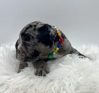 processed/31d45865-4805-4b65-971d-172c887a5699/listing/a7a9be5e-cbb2-46fb-b8b3-5dfce1002b2b/01a4f204-f932-4d10-9031-9fd148805a87