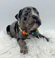 processed/31d45865-4805-4b65-971d-172c887a5699/listing/a7a9be5e-cbb2-46fb-b8b3-5dfce1002b2b/70478225-584e-4374-a99b-9da21193fbda