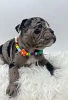 processed/31d45865-4805-4b65-971d-172c887a5699/listing/a7a9be5e-cbb2-46fb-b8b3-5dfce1002b2b/baa1e36e-b15b-4881-9815-a010d254f382