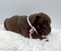 processed/31d45865-4805-4b65-971d-172c887a5699/listing/fbf67440-f9cf-48df-9723-44d23ea67c7f/33072028-782e-4352-a969-3d4b4bc72d11