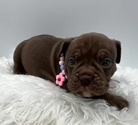 processed/31d45865-4805-4b65-971d-172c887a5699/listing/fbf67440-f9cf-48df-9723-44d23ea67c7f/3e5ec5af-6b41-40eb-98ef-d73905219bf7